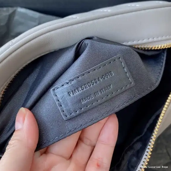 Tony Luxuries CAMERA YSL BAG-23*16*6CM LOU 0627